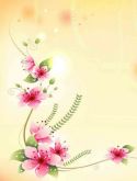 Flores6