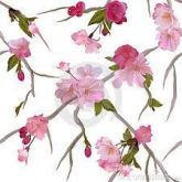 Flores20