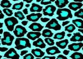 print4