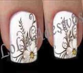 Flores Delicate