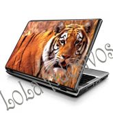 Adesivos para Notebook/Netbook