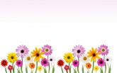 Flores24