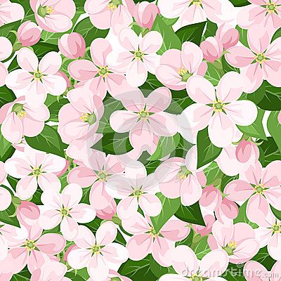 Flores23