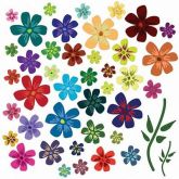 Flores50