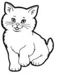 gato1