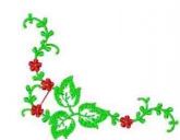 Flores10