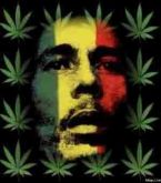 Reggae Bob