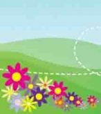 Flores49