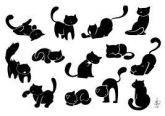 Animais