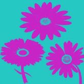 Flores34