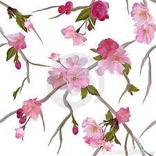 Flores20