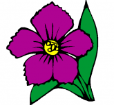 Flores14