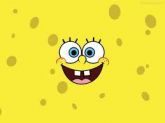 Bob13