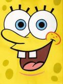 Bob4