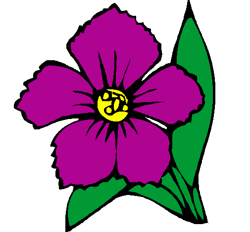 Flores14