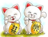 Gatos Sorte