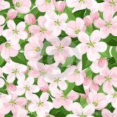 Flores23