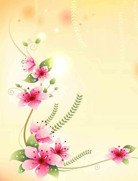 Flores6